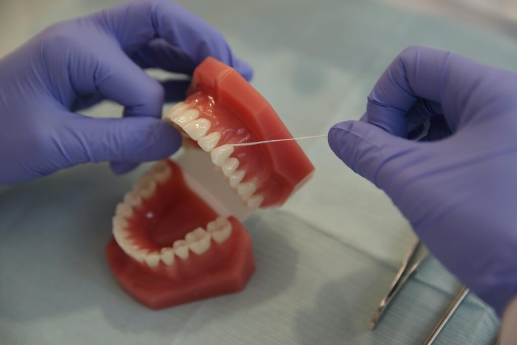 The Importance of Regular Use of best Toothpaste, Mouthwash in 2025. Close-up of a dental professional using floss on a denture model, emphasizing hygiene.